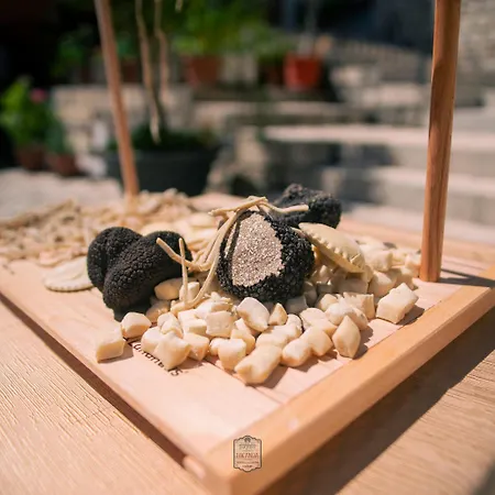 La Casa Del Tartufo